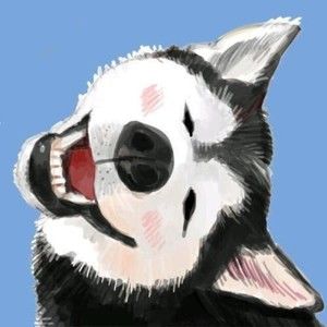 Meet your Posher, Meredith